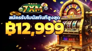 7XM ฿12,999