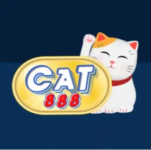 cat888